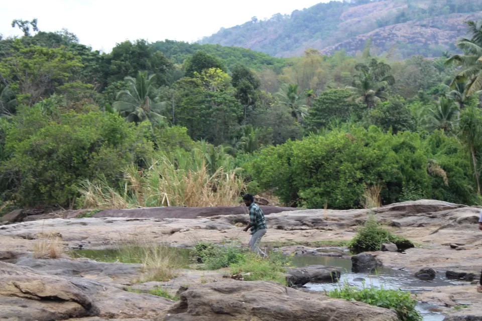 Photo of Road Trip to Wayanad,Kerala and Ooty by Anil Kumar Chavala