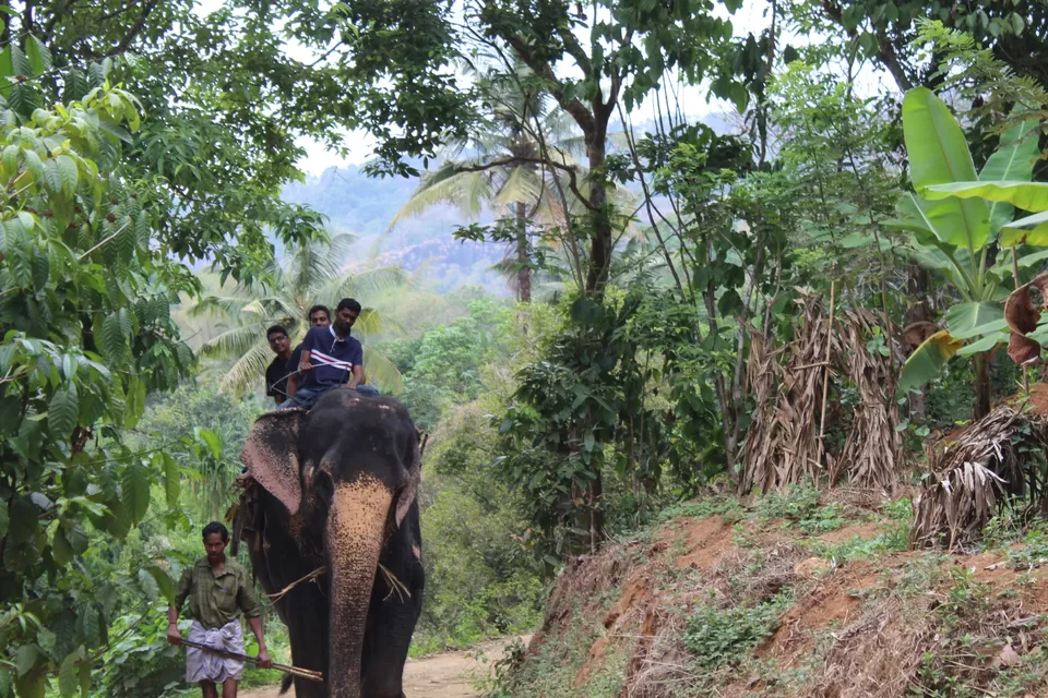 Photo of Road Trip to Wayanad,Kerala and Ooty by Anil Kumar Chavala
