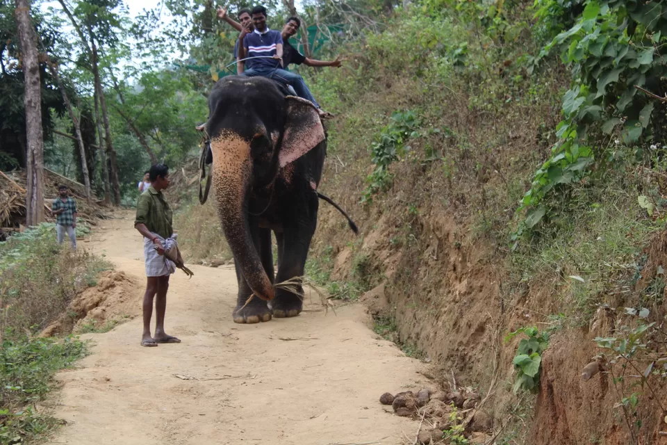 Photo of Road Trip to Wayanad,Kerala and Ooty by Anil Kumar Chavala