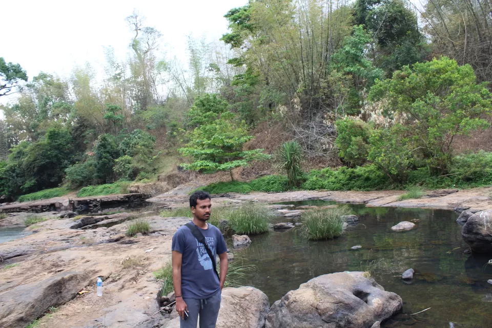 Photo of Road Trip to Wayanad,Kerala and Ooty by Anil Kumar Chavala