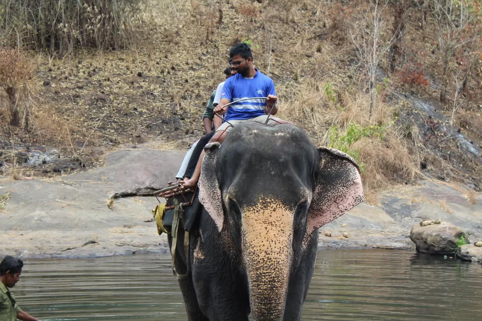 Photo of Road Trip to Wayanad,Kerala and Ooty by Anil Kumar Chavala