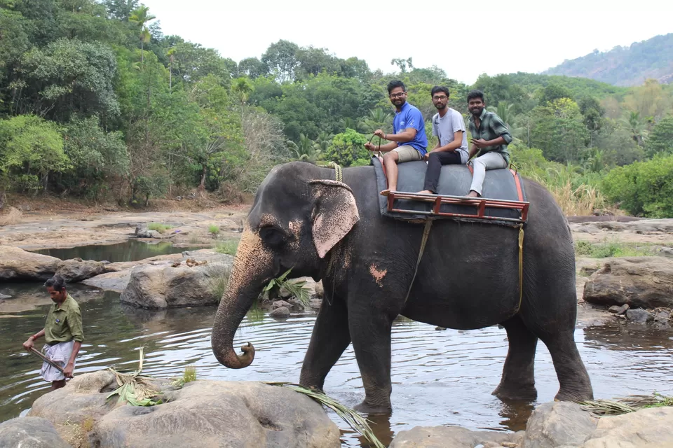 Photo of Road Trip to Wayanad,Kerala and Ooty by Anil Kumar Chavala