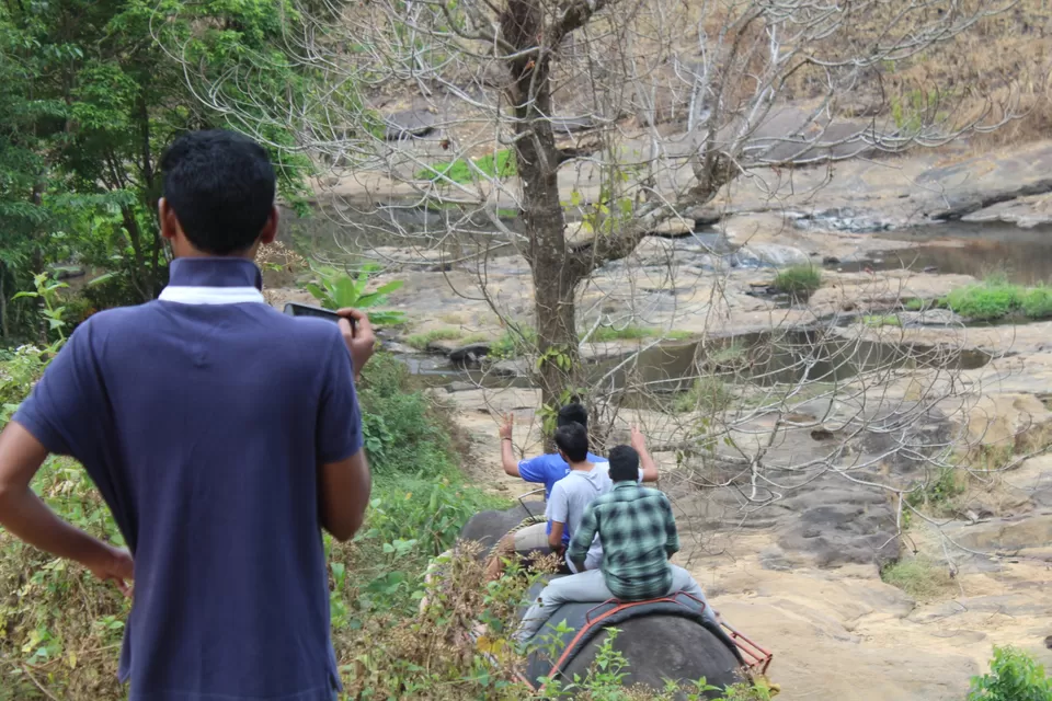 Photo of Road Trip to Wayanad,Kerala and Ooty by Anil Kumar Chavala