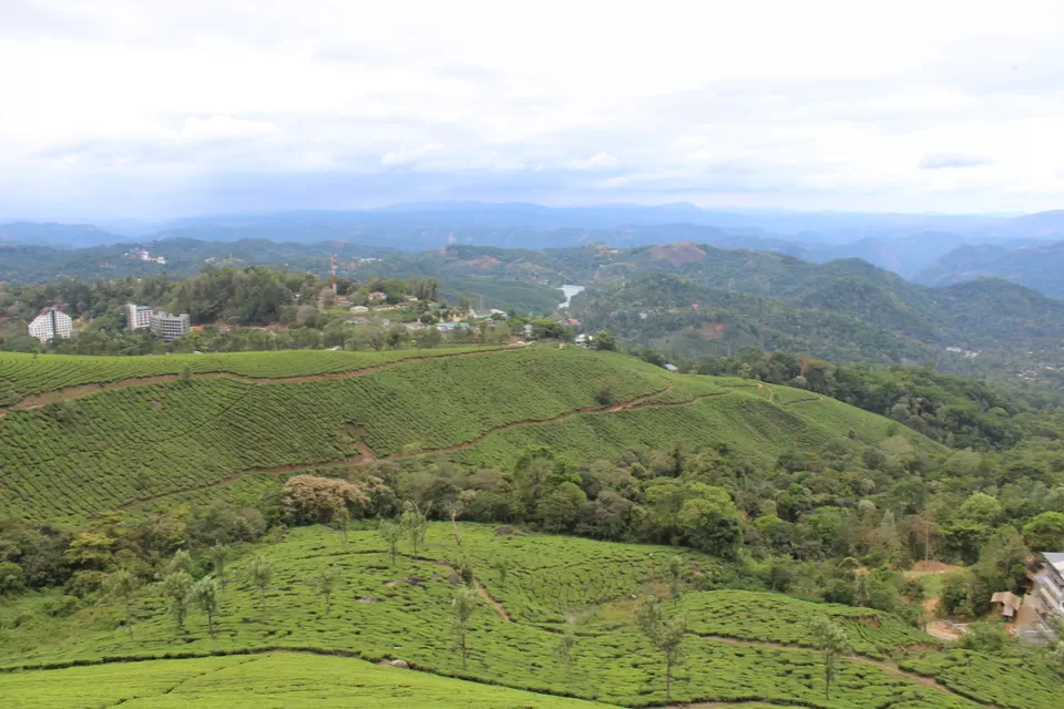 Photo of Road Trip to Wayanad,Kerala and Ooty by Anil Kumar Chavala