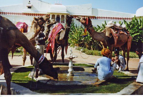 Photo of Hotel Bhadrawati Palace, Bhandrej, Rajasthan, India by wayfarer