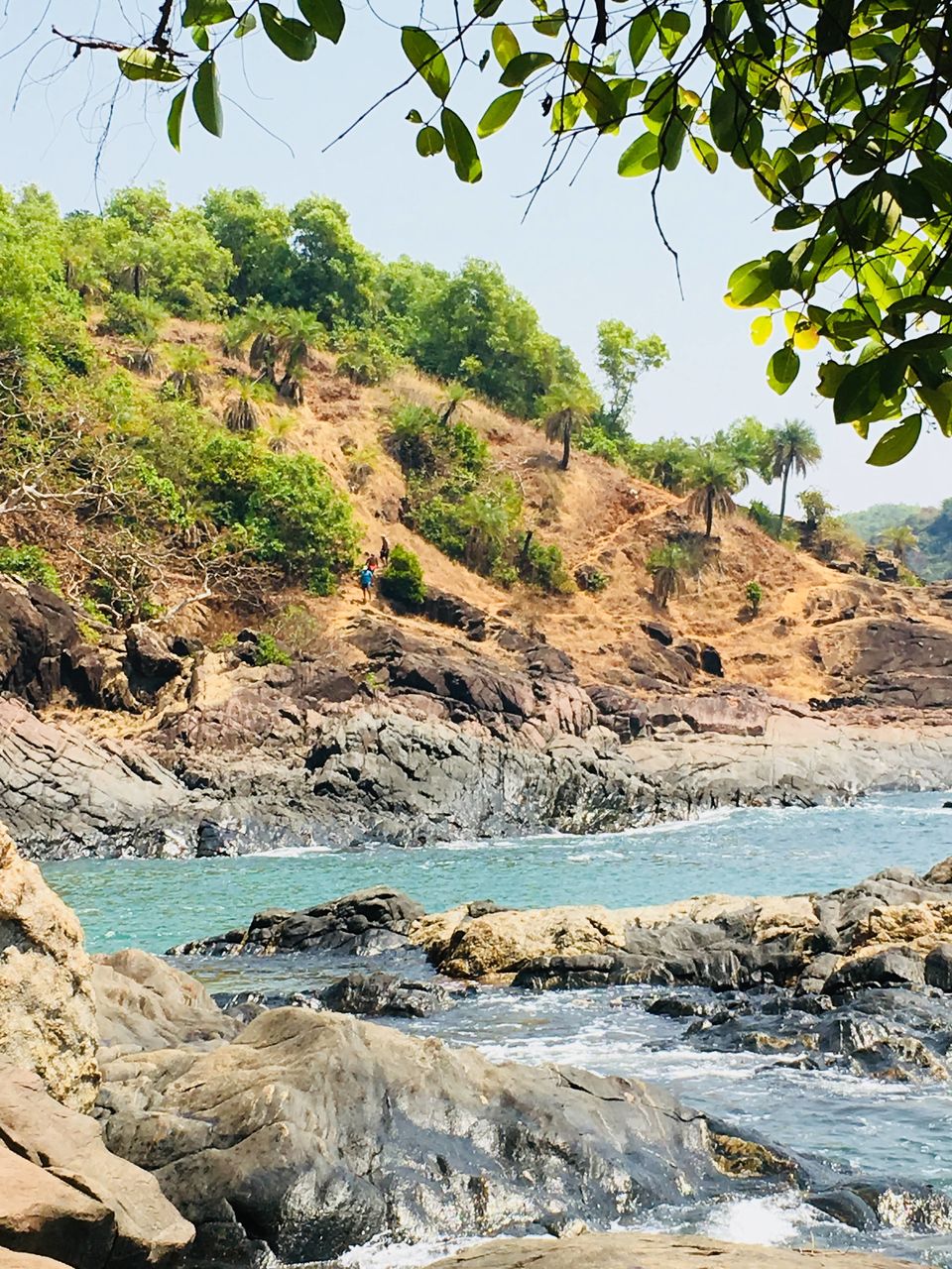 Photo of The best beach trek I have been to. by Mouna Naidu