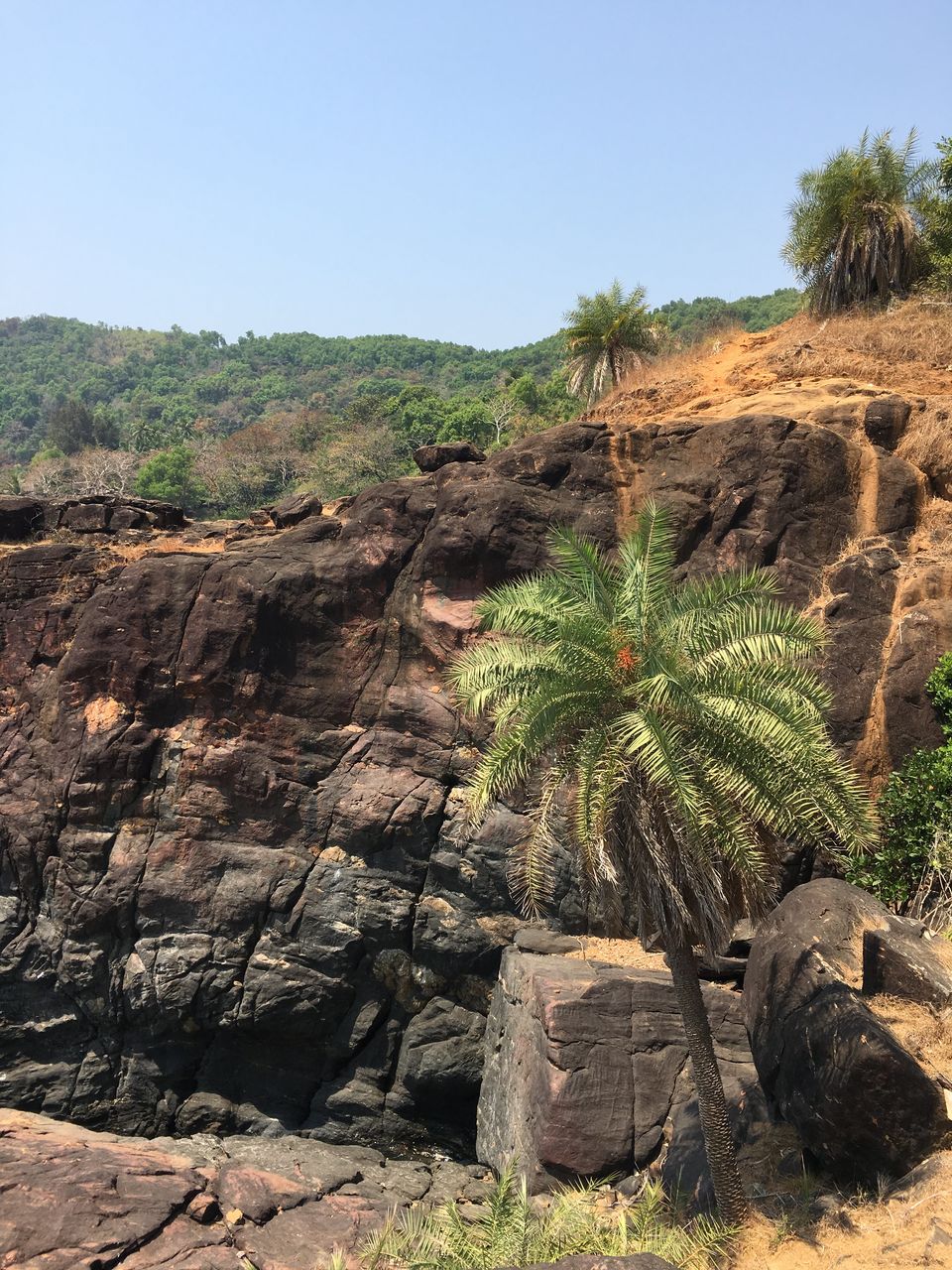 Photo of The best beach trek I have been to. by Mouna Naidu