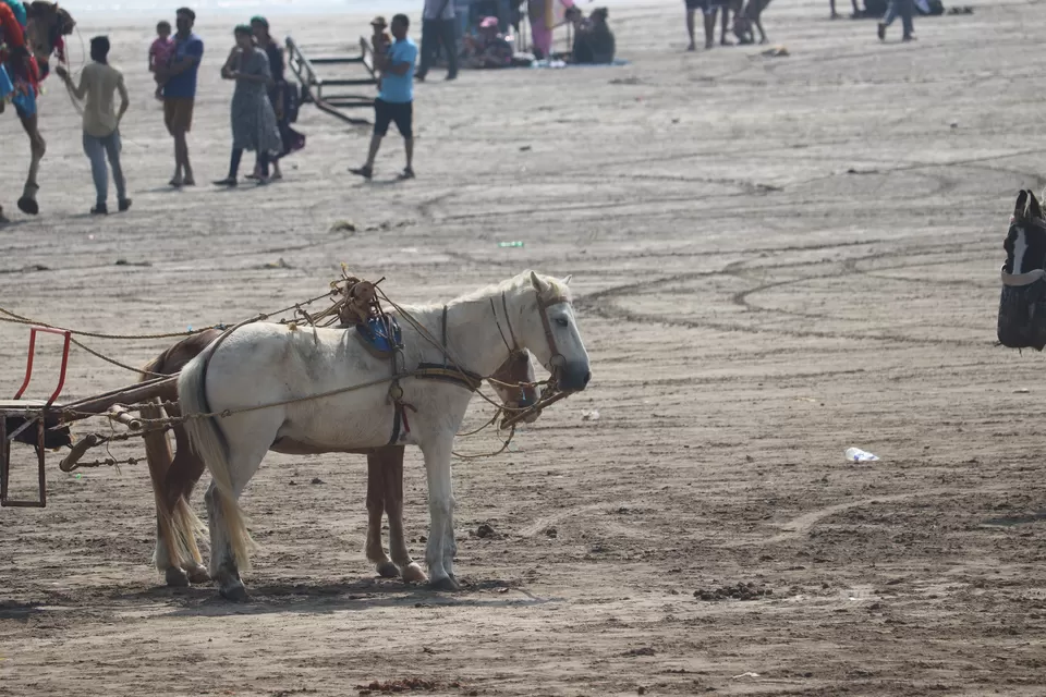 Photo of Alibaug Beach, Alibag Beach Road, Main Beach, Koliwada, Alibag, Maharashtra, India by Prtravelstories