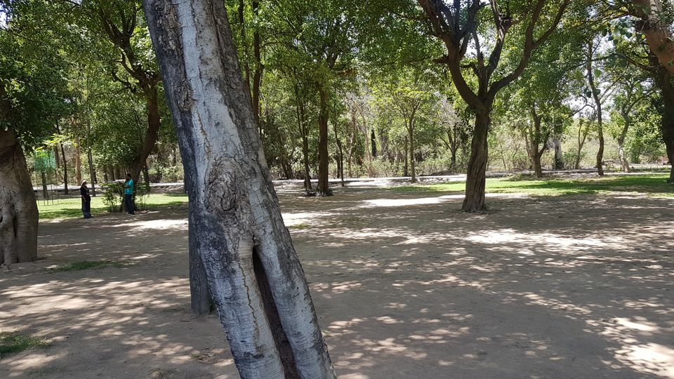Photo of Chhatbir Zoo, Chattbir Zoo Road, Chhat, Punjab, India by Sandeep
