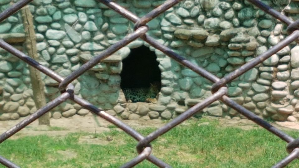 Photo of Chhatbir Zoo, Chattbir Zoo Road, Chhat, Punjab, India by Sandeep