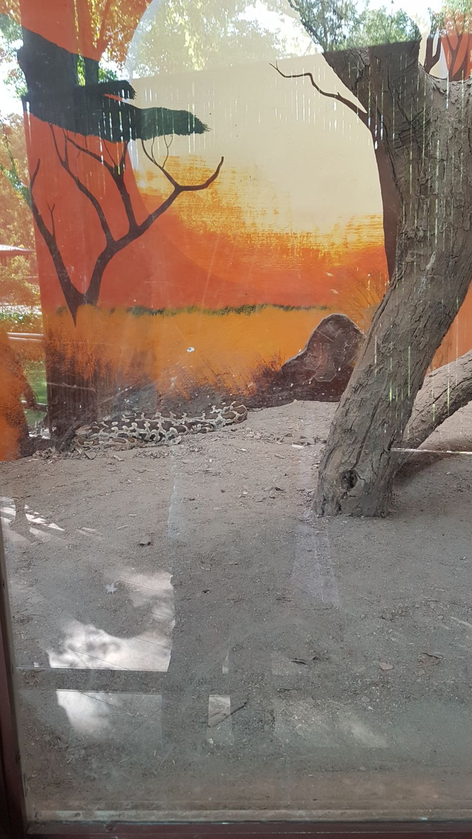 Photo of Chhatbir Zoo, Chattbir Zoo Road, Chhat, Punjab, India by Sandeep
