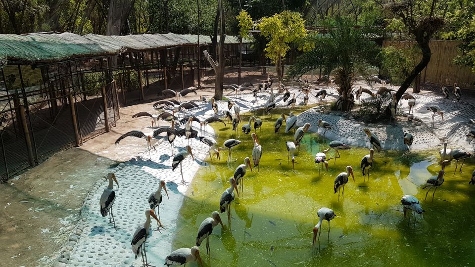 Photo of Chhatbir Zoo, Chattbir Zoo Road, Chhat, Punjab, India by Sandeep