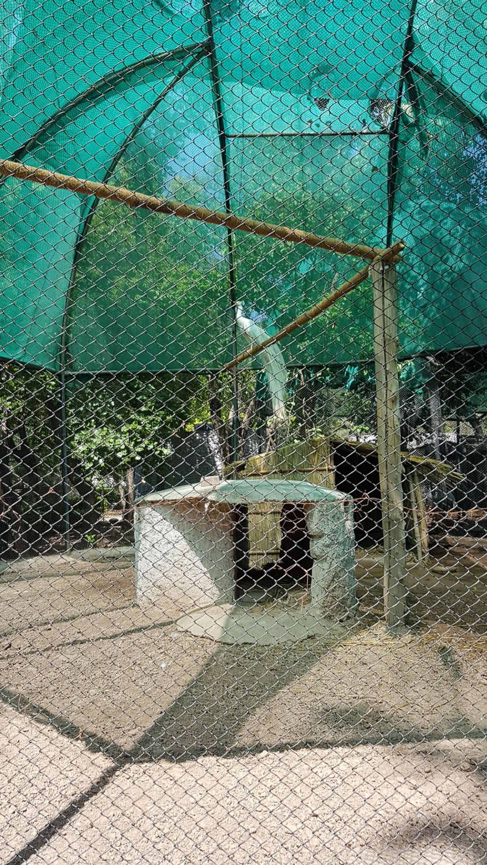 Photo of Chhatbir Zoo, Chattbir Zoo Road, Chhat, Punjab, India by Sandeep