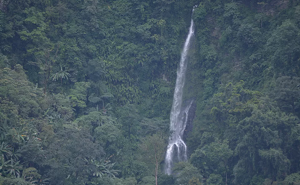 Photo of New Emali by Jitendra Kumar Sarmah
