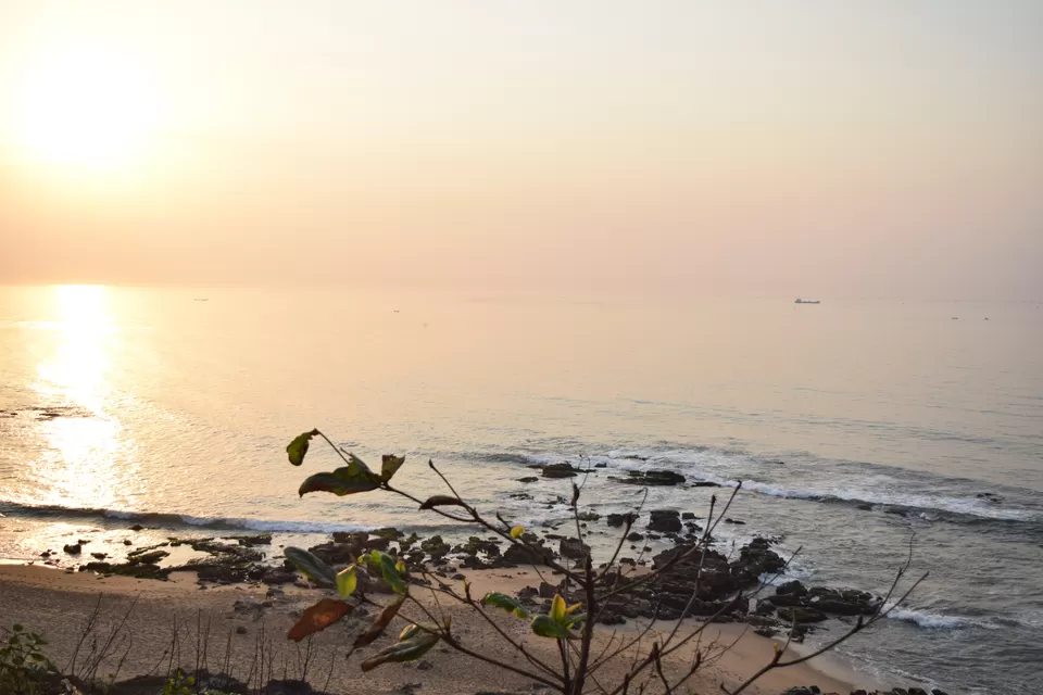 Photo of Tenneti Park Beach, Andhra Pradesh by Sunil016