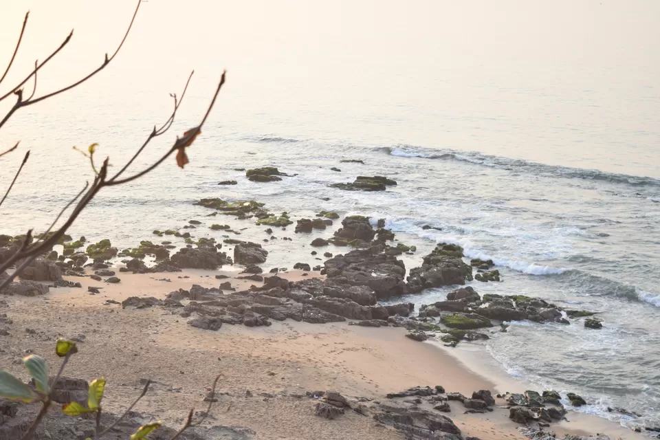 Photo of Tenneti Park Beach, Andhra Pradesh by Sunil016