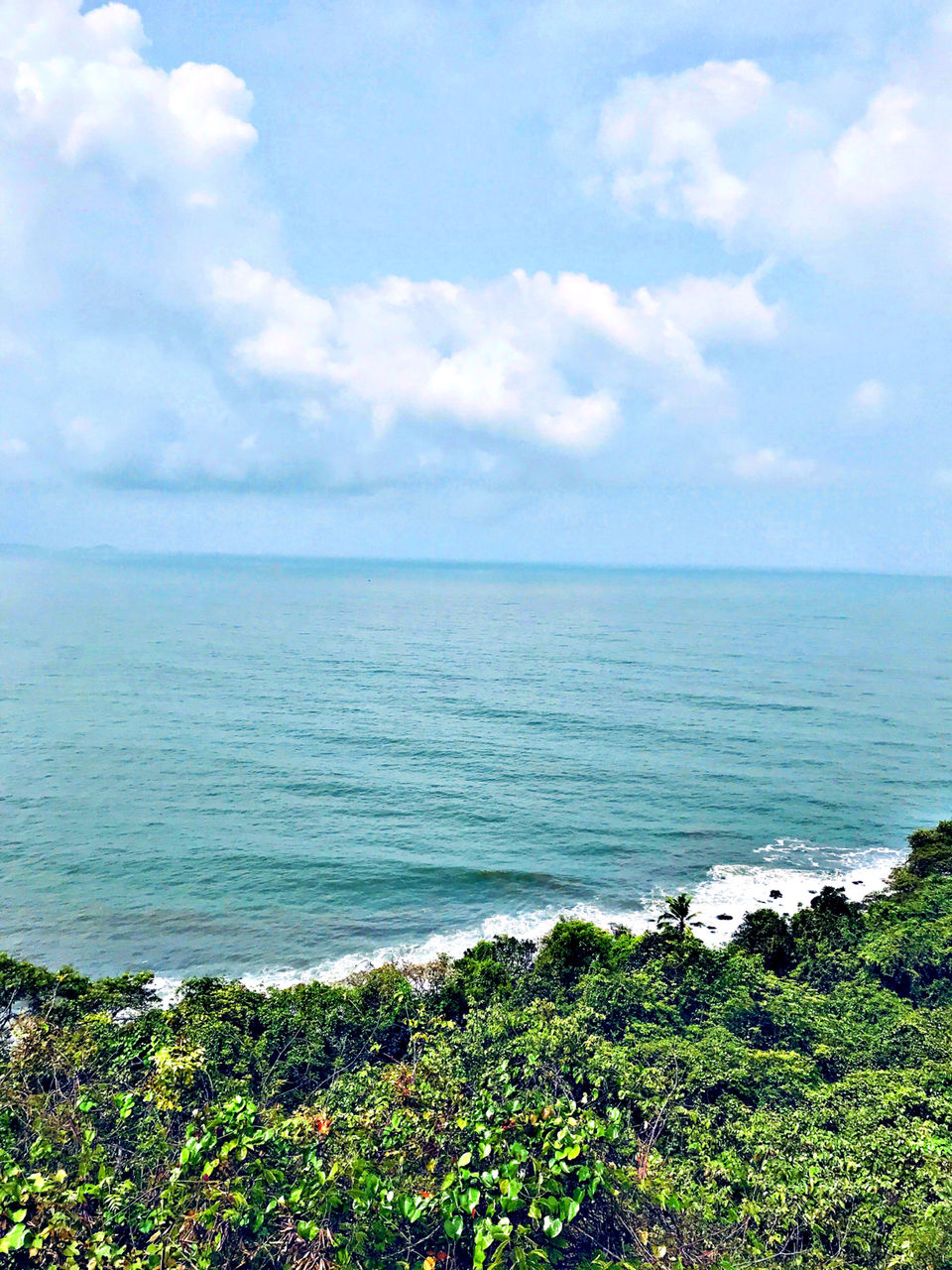 Photo of Go Goa Gone by Jai Fulara