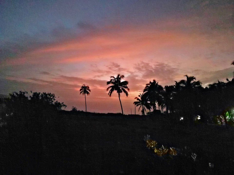 Photo of Go Goa Gone by Jai Fulara