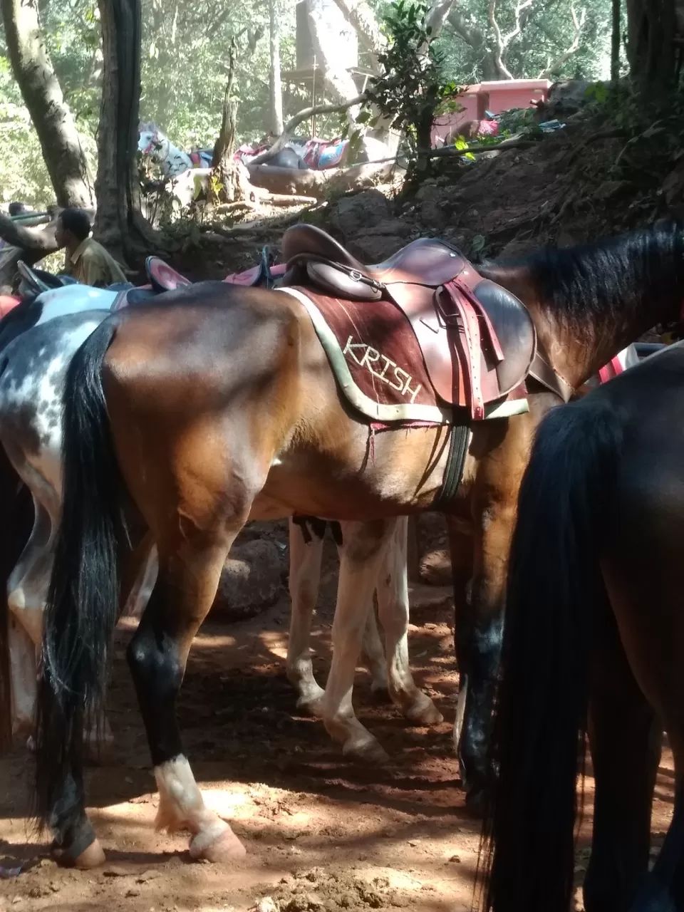 Photo of Matheran Hill Station, कस्तुरबा रोड, Matheran, Maharashtra, India by Indian tourist