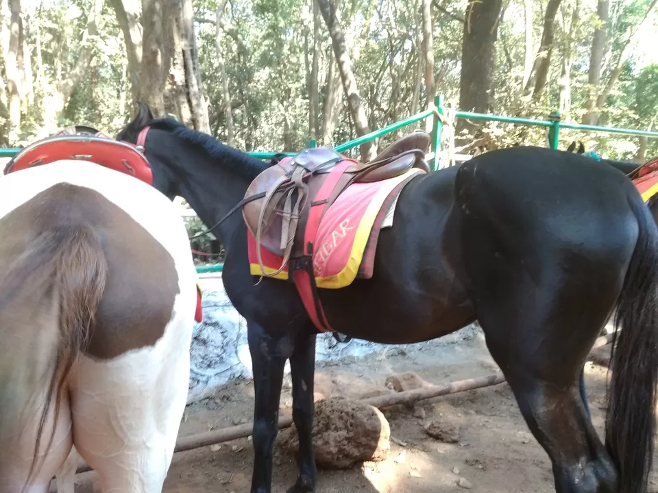 Photo of Matheran Hill Station, कस्तुरबा रोड, Matheran, Maharashtra, India by Indian tourist