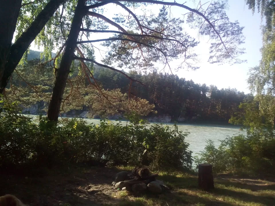 Photo of Adventure on the Katun river by Анна Лосева