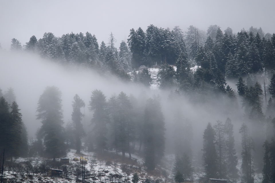 Photo of Moved to Mountains | Waking up amongst the misty & snow-clad mountains | #NewYearsEve 7/8 by Neha & Abhay