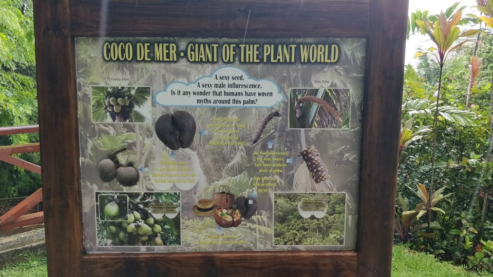 Photo of Botanical Garden, Victoria, Seychelles by Neha & Abhay