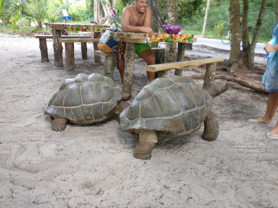 Photo of Go people...visit Seychelles and thank me later! Earth's most beautiful and #RomanticPlaces by Neha & Abhay