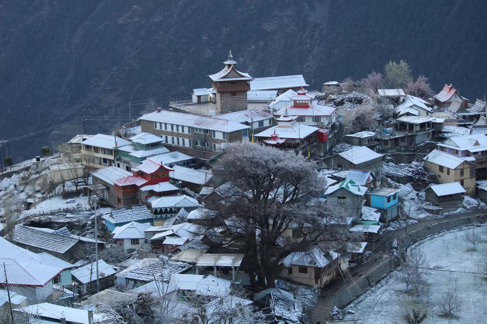 Photo of Kalpa, Himachal Pradesh, India by Neha & Abhay