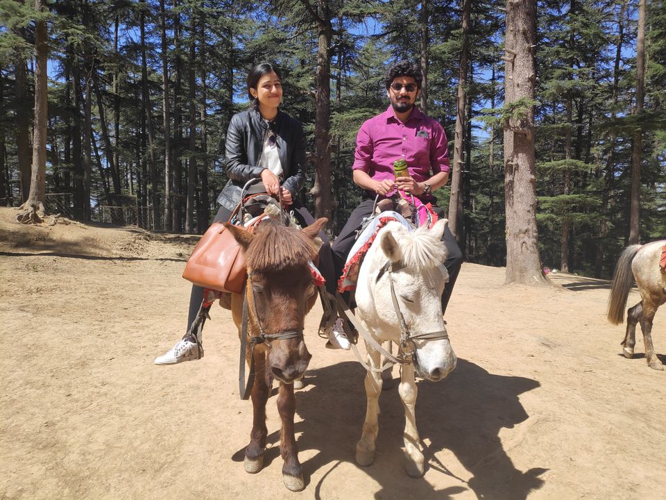 Photo of The Naldehra Golf Course, Shimla, Himachal Pradesh, India by Aditya Rathore