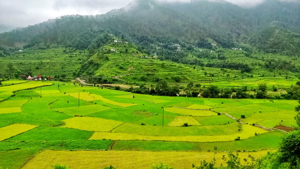 Photo of Kausani, Uttarakhand, India by Aditya Rathore