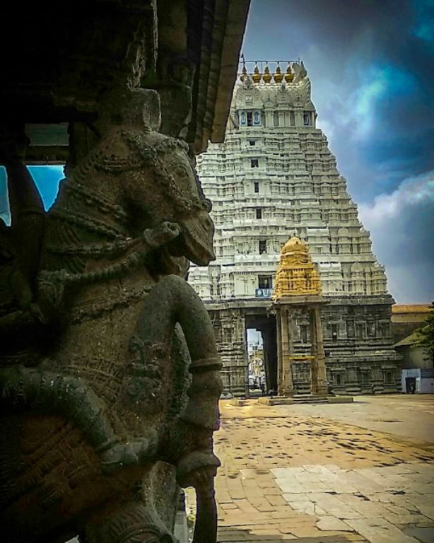 Photo of Varadaraja Perumal Temple by vinay chandran