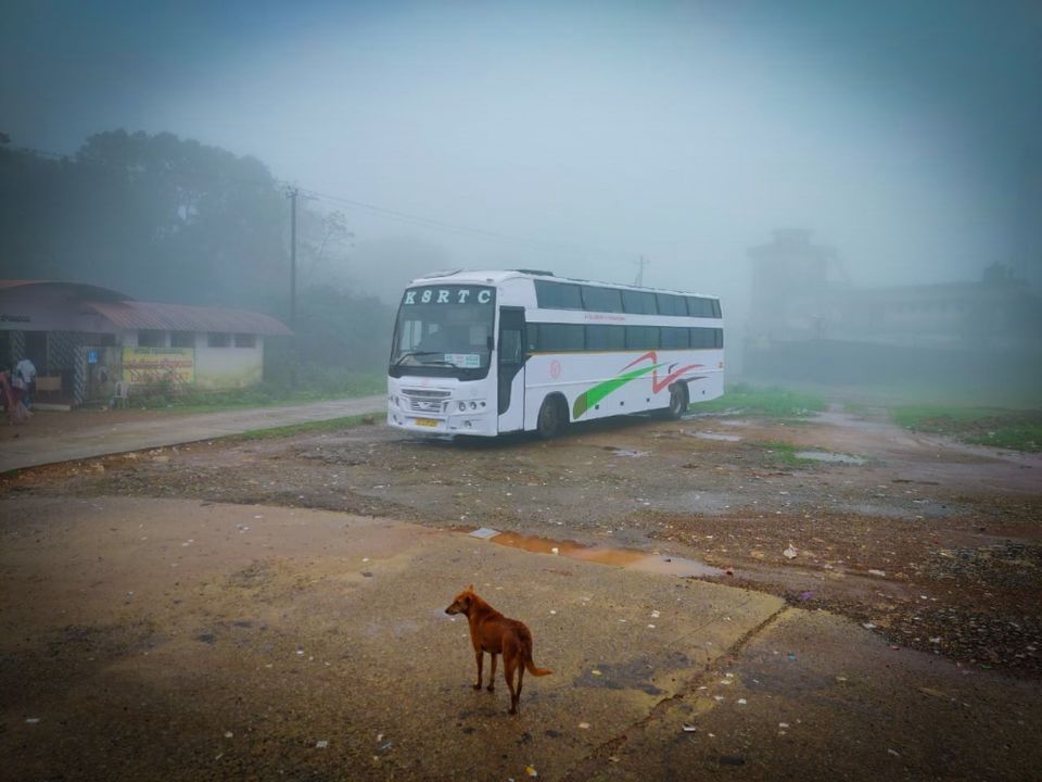 Photo of Mangalore, Karnataka, India by vinay chandran