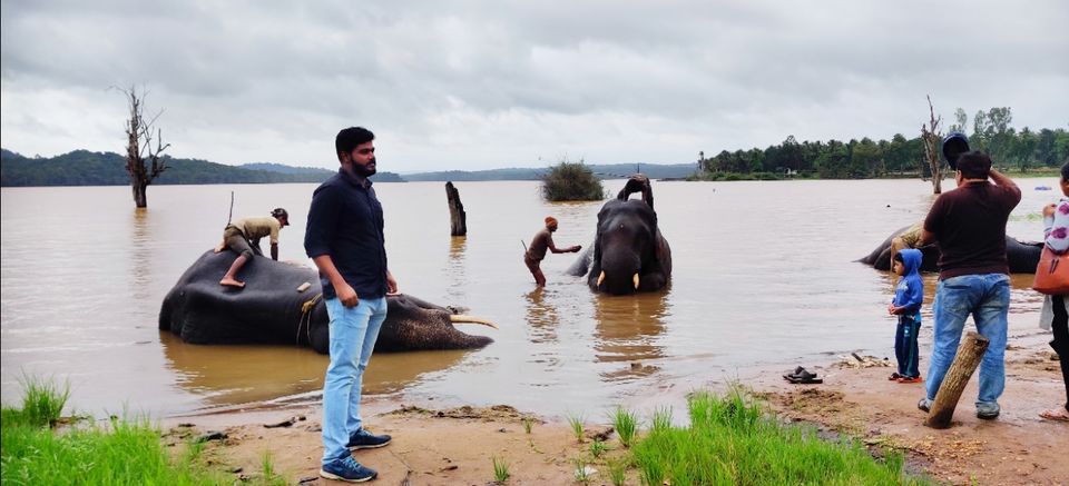 Photo of Sakrebailu by vinay chandran