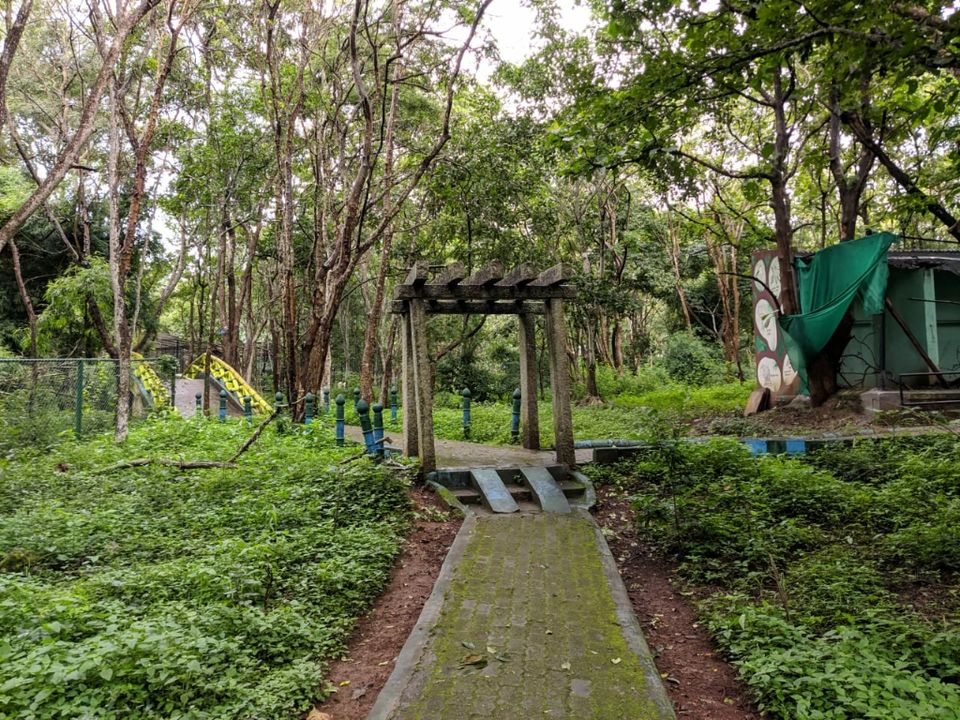 Photo of DreamLand of Drizzle : Malnad by vinay chandran