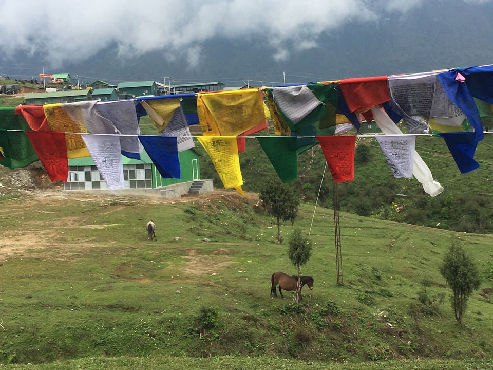 Photo of Tawang by poonam kalia