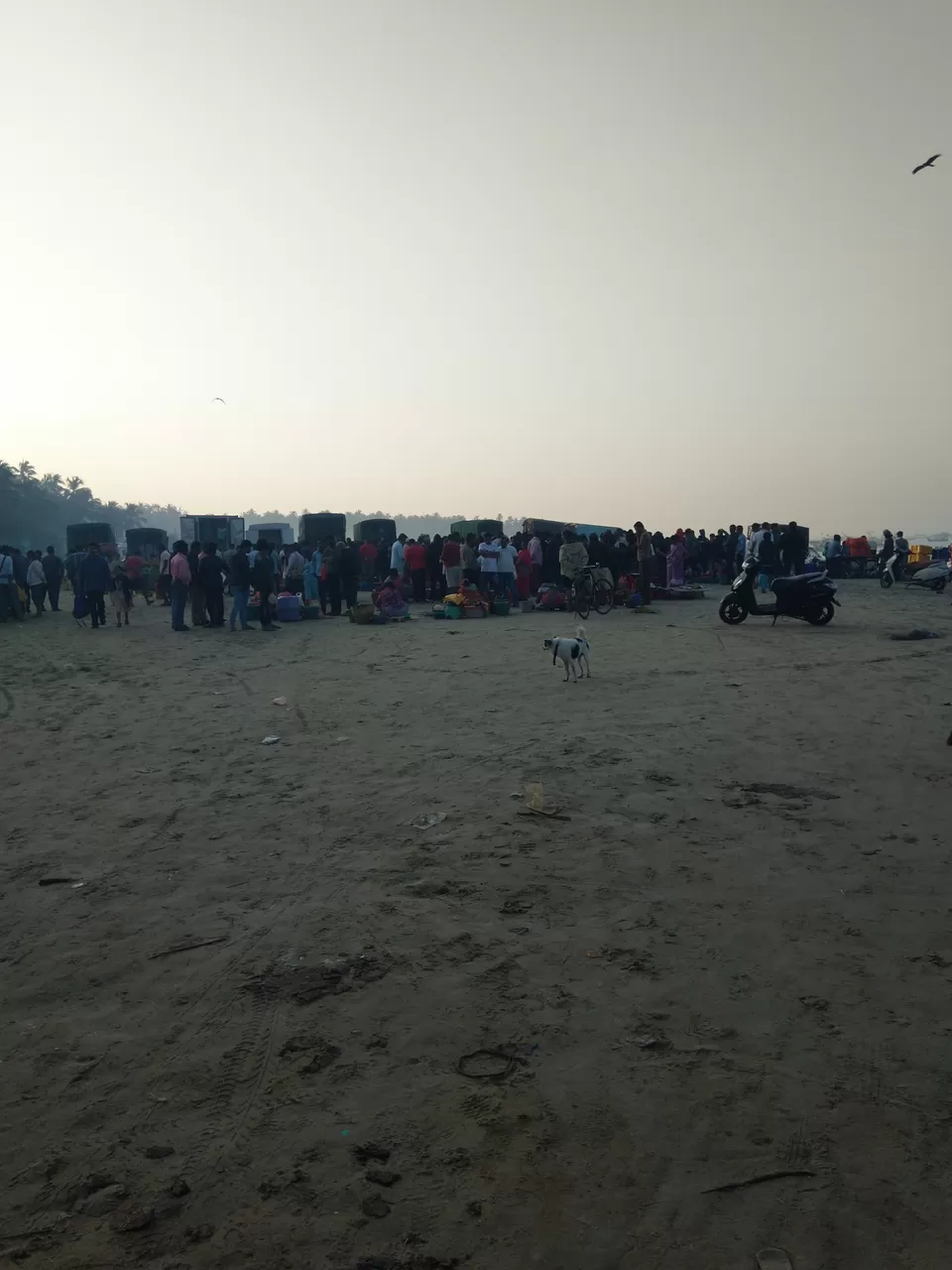 Photo of Tondavali Beach, Maharashtra by Pratieq S'zee