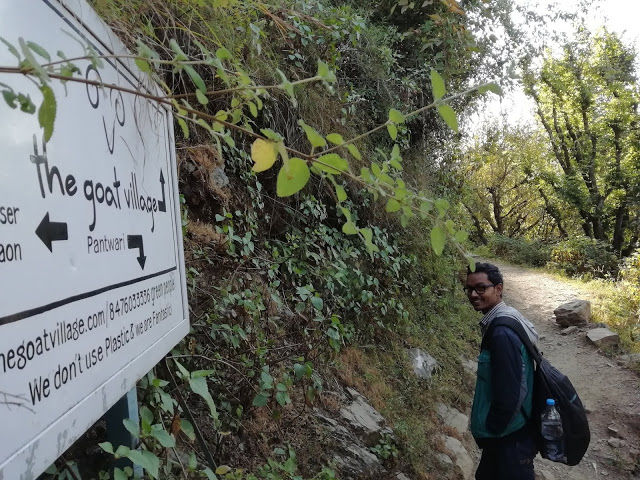 Photo of thrillwrill.com: Trek to Nag Tibba summit : A not so famous trek in the lap of humongous Himalayas 11/11 by Ranjan Gupta