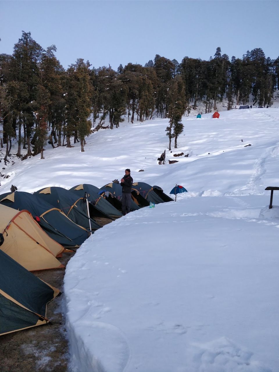 Photo of thrillwrill.com: Kedarkantha Trek : This place is sort of heaven in winters 8/15 by Ranjan Gupta