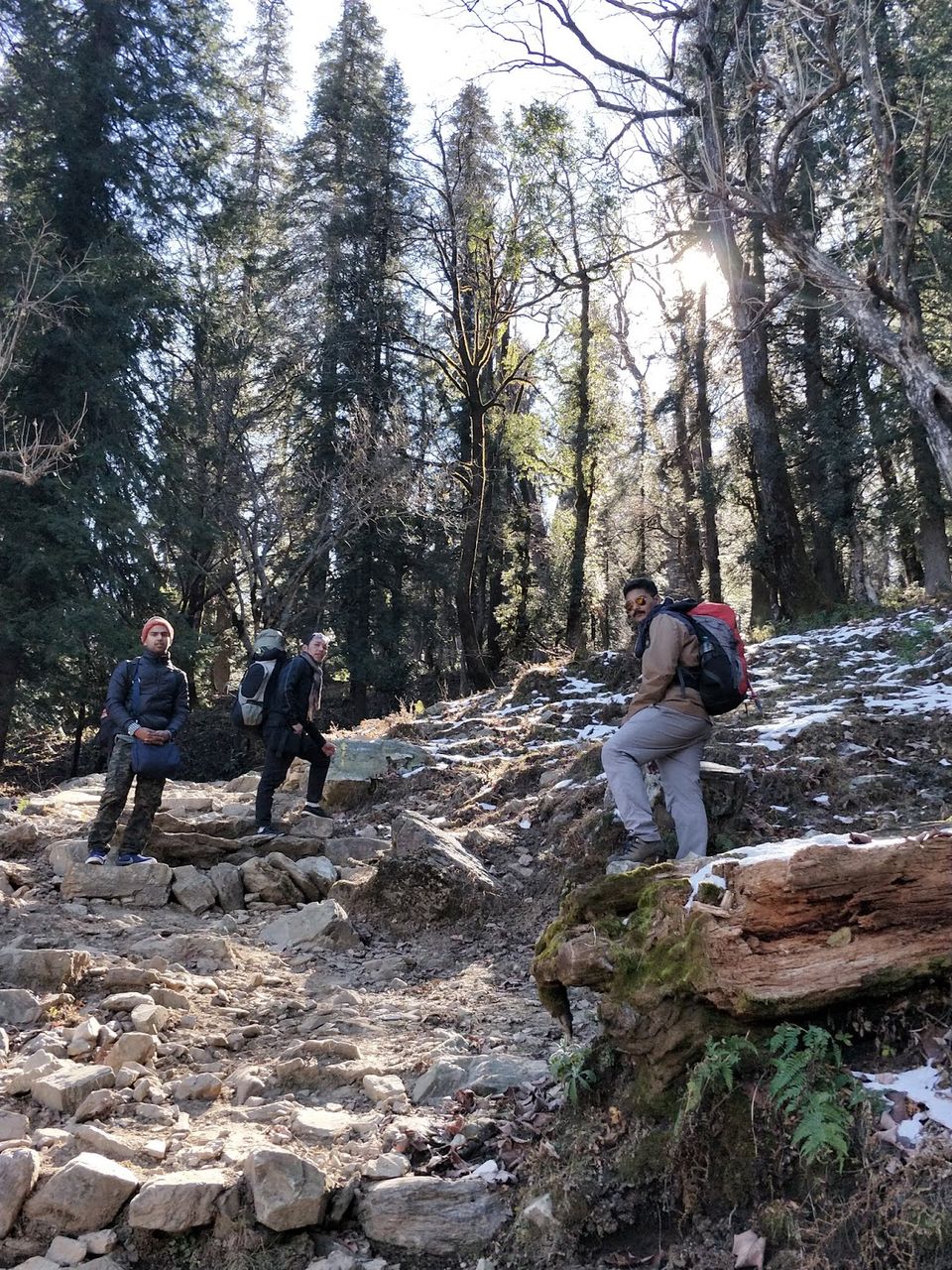 Photo of thrillwrill.com: Kedarkantha Trek : This place is sort of heaven in winters 14/15 by Ranjan Gupta