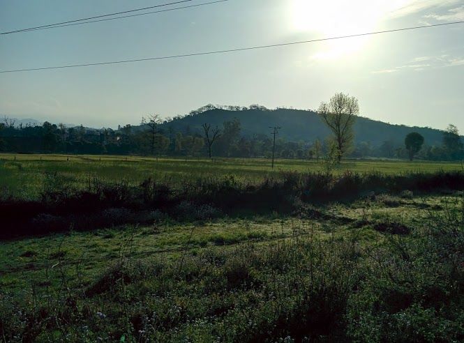 Photo of Trip to McleodGanj: Weekend Getaway from Delhi 5/15 by Shubham Jain