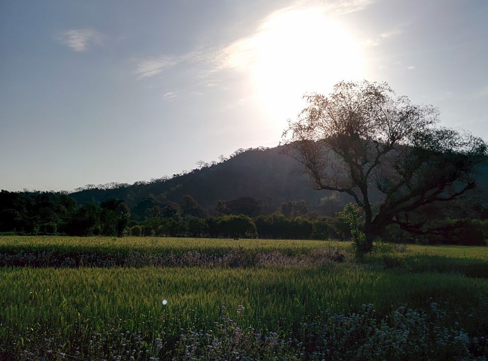 Photo of Trip to McleodGanj: Weekend Getaway from Delhi 9/15 by Shubham Jain