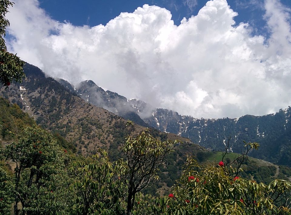 Photo of Trip to McleodGanj: Weekend Getaway from Delhi 12/15 by Shubham Jain