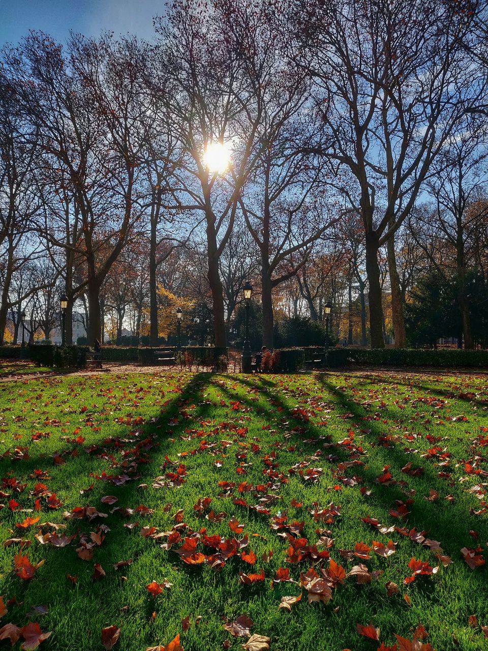 Photo of Brussels, Belgium by Akshay Sharma