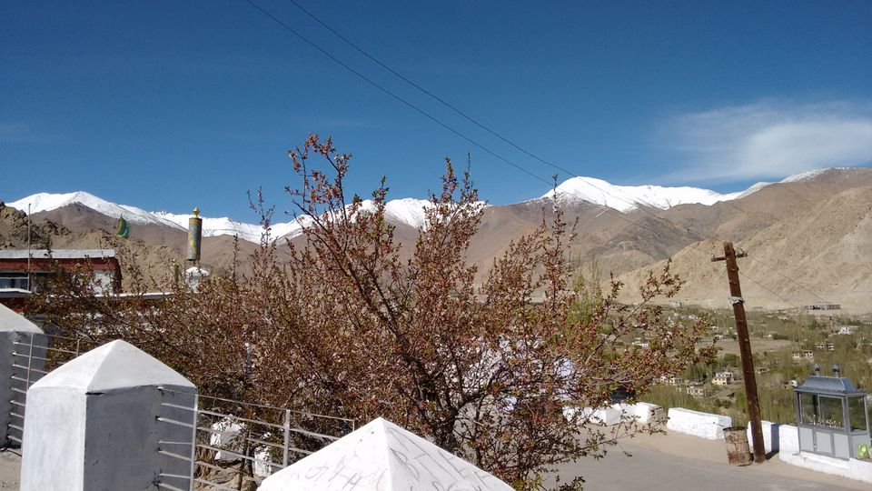 Photo of Ladakh by Curvy_bongshell