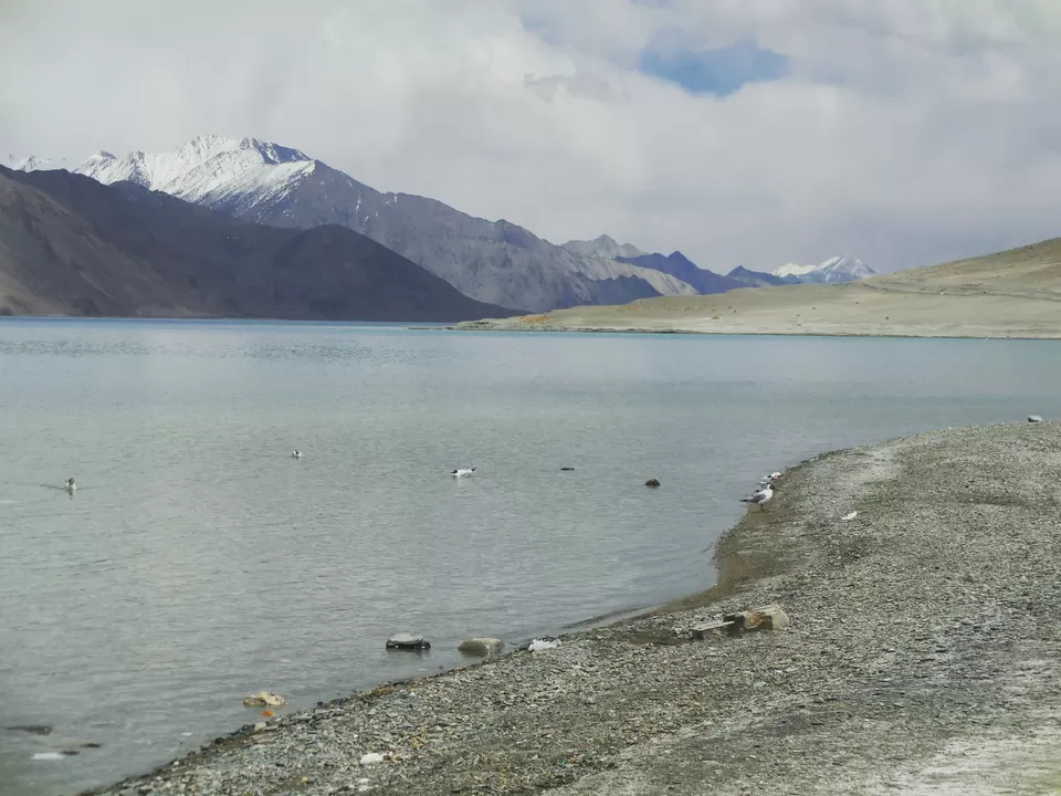 Photo of Ladakh - a dream that you don't want to wake up from. by Curvy_bongshell