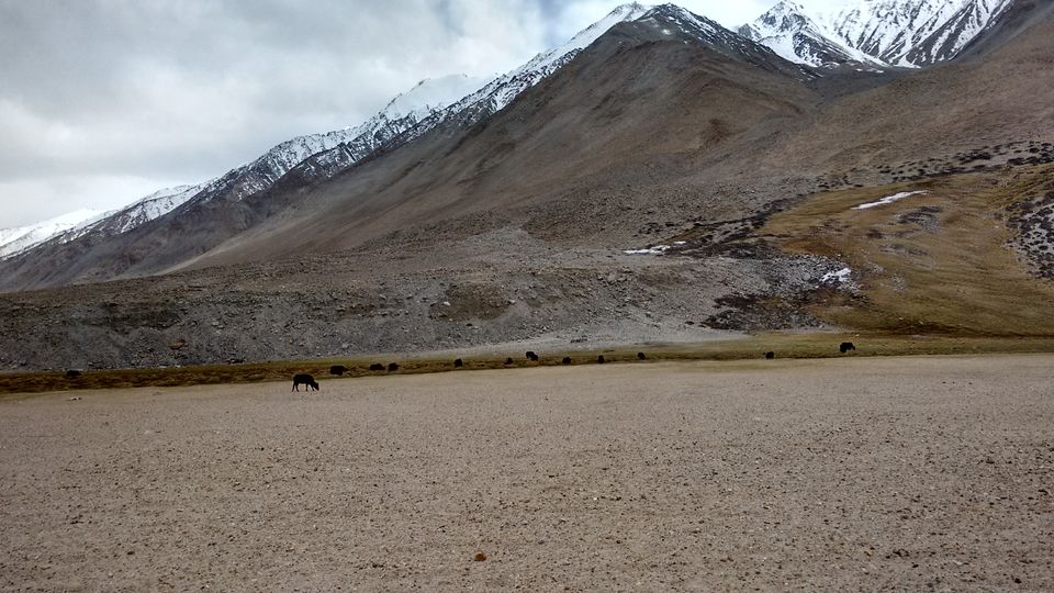 Photo of Ladakh - a dream that you don't want to wake up from. by Curvy_bongshell