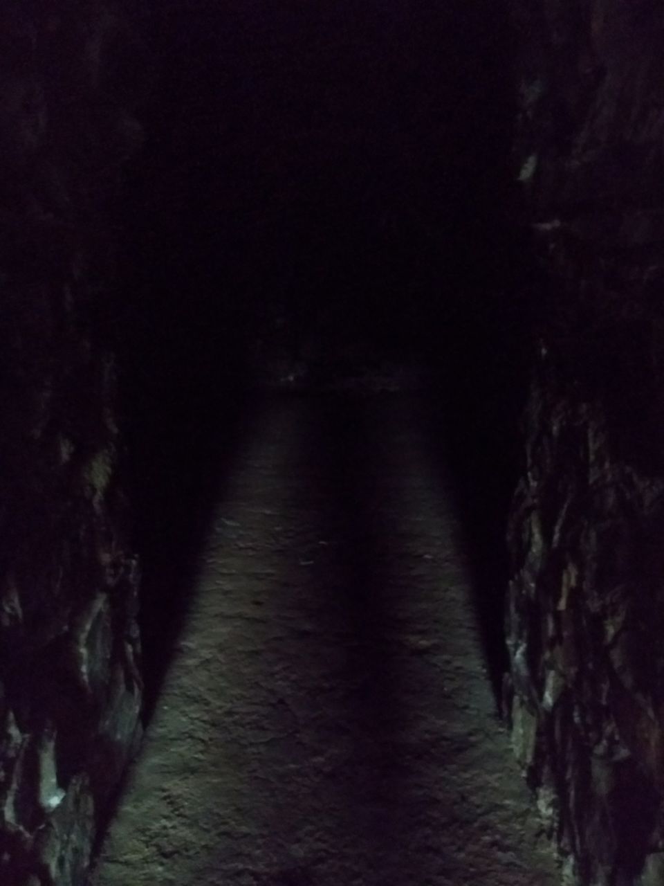 Photo of Exploring the 'Djinns' of Ferozabad by Curvy_bongshell