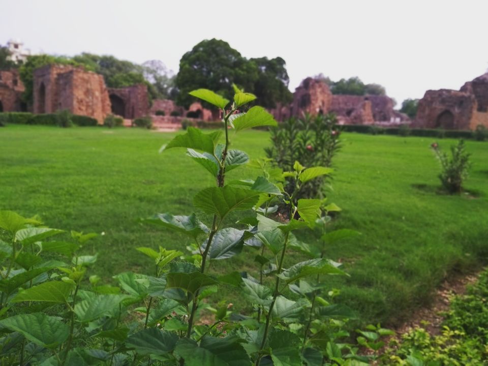 Photo of Exploring the 'Djinns' of Ferozabad by Curvy_bongshell