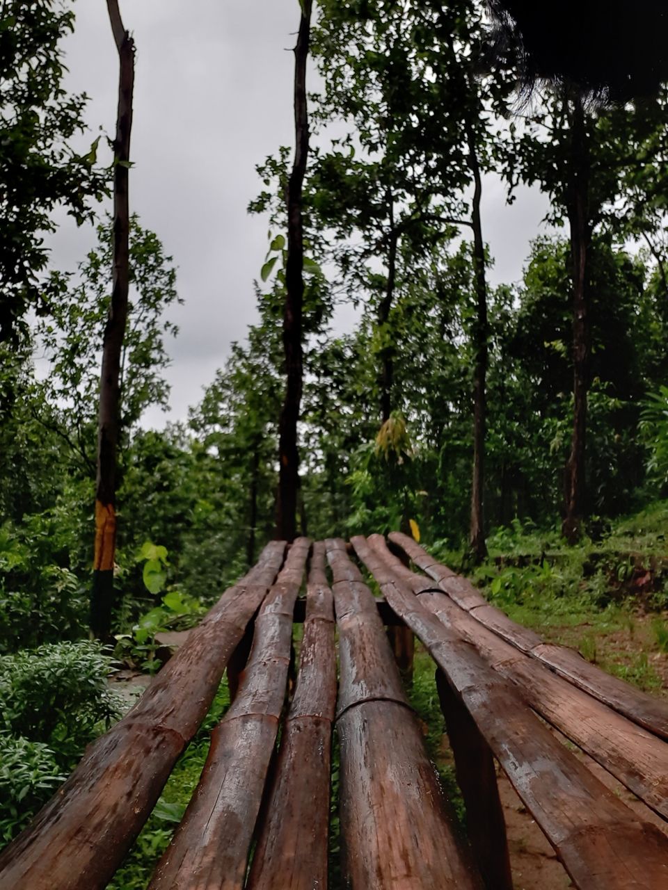Photo of Jhilimili Forest Office by Curvy_bongshell